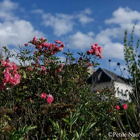 Au Jardin Des Deux Ponts Bed & Breakfast