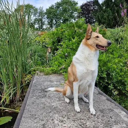 Au Jardin Des Deux Ponts Frühstückspension *