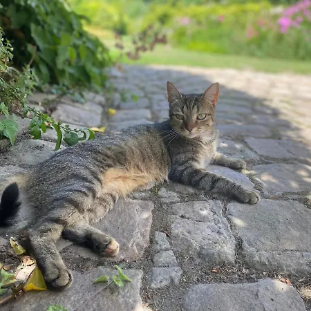 Au Jardin Des Deux Ponts Frühstückspension Abbeville