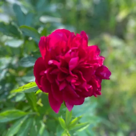Au Jardin Des Deux Ponts Abbeville