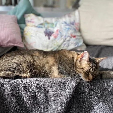 Au Jardin Des Deux Ponts