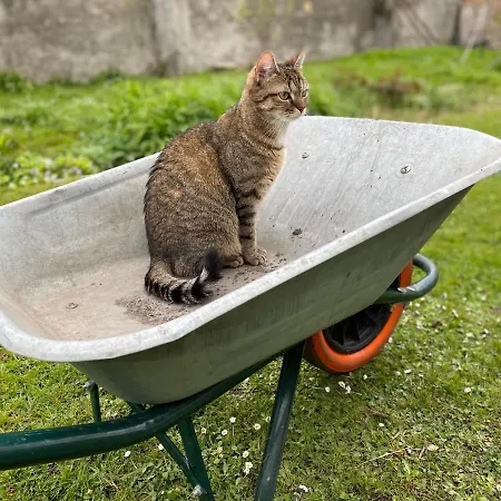 Au Jardin Des Deux Ponts Frühstückspension *