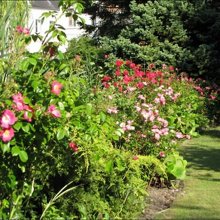Frühstückspension Au Jardin Des Deux Ponts *