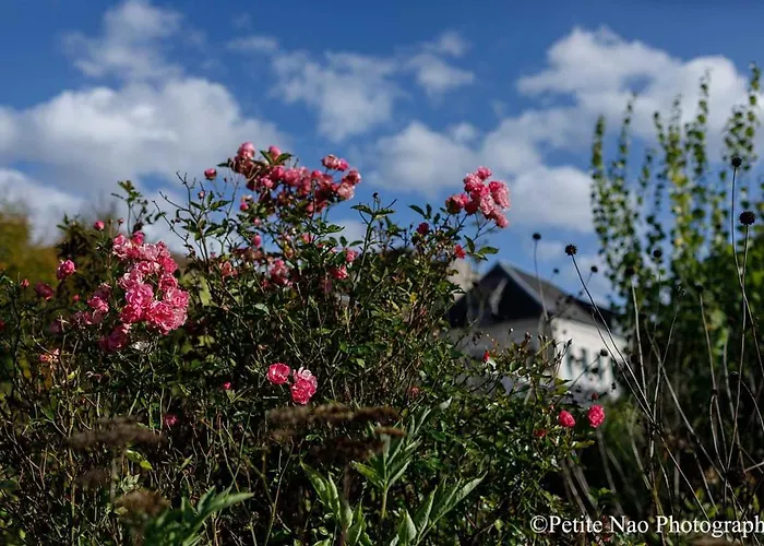 Au Jardin Des Deux Ponts Couette-café