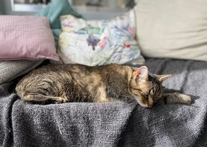 Au Jardin Des Deux Ponts